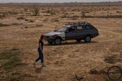 Parc national du Djoudj, Sénégal