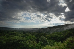UGANDA - ENVIRONMENT - FOREST - DEFORESTATION - SAVE - CANOPY