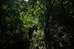 UGANDA - ENVIRONMENT - FOREST - DEFORESTATION - SAVE - CANOPY