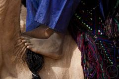 Un enfant, installé sur un dromadaire au festival de l'Aïr, Iférouane, 2019.