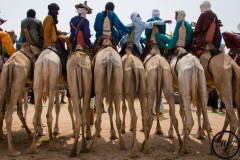 Des hommes attendent leur tour pour passer un concours de dressage de dromadaires  à la Cure salée, Ingal, 2017.