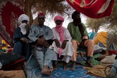 Le campement peul au festival de l'Aïr, Aberbissinat, 2015.