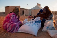Chaque habitant des camps bénéficie de 17 kg de nourriture par mois. Les bailleurs de fonds fournissent des quantités suffisantes pour 125 000 personnes. Or, 173 600 réfugiés vivent ici. Le Croissant rouge fait confiance à l’esprit communautaire des Sahraouis pour qu’ils partagent eux-mêmes la nourriture, en évaluant les besoins de chacun.