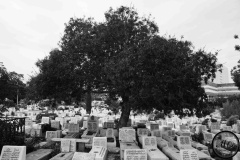 Cimetière Al-Jallaz, Tunis, 2019.