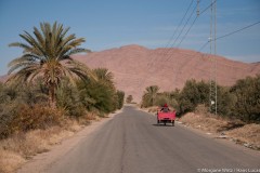 TUNISIA - ZIIT ZITOUN