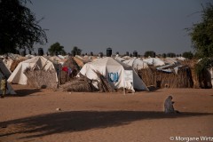 Près de 200 000 personnes fuyant Boko Haram sont installées dans la région de Diffa. Les camps sont partout.