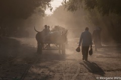 L'usage de carburant et de certains engrais, utilisés par le groupe djihadiste pour fabriquer des bombes, est interdit par le gouvernement sans autorisation spécifique. De nombreux agriculteurs ont aussi perdu l'accès à leur champ, situés dans des zones où s'opère ponctuellement le combat entre les forces de sécurité et Boko Haram. La circulation dans la région est aussi devenue plus complexe du fait de l'interdiction par l'État de circuler à moto.