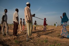Mamadou Fanani a été blessé en fuyant Boko Haram. Ancien grand producteur, il a complètement laissé tomber la culture de poivrons, faute d’engrais. Il s’attèle aux tomates, aux oignons et à l’oseille, aidé par une partie de ses 15 enfants.