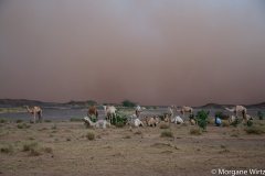 Ingal, à l'aube d'une tempête de sable, Niger