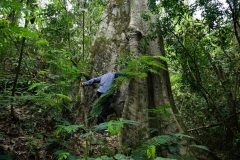 UGANDA - ENVIRONMENT - FOREST - DEFORESTATION - SAVE - CANOPY