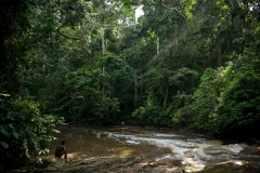 UGANDA - ENVIRONMENT - FOREST - DEFORESTATION - SAVE - CANOPY