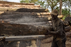 UGANDA - ENVIRONMENT - FOREST - DEFORESTATION - SAVE - CANOPY