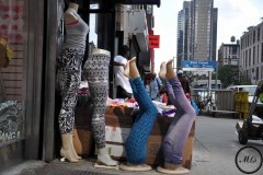 New York, 2015.