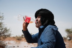 Dans les territoires libérés, sur le territoire du Sahara Occidental occupé par les Sahraouis, Lud s’abreuve à l’eau d’une oasis. Par chance, il a plu hier soir.