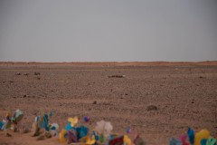 Le mur de sable qui divise le Sahara occidental fait 2720 km de long. Sa construction a été achevée en 1980. En construisant cette frontière, le Maroc a voulu délimiter ses territoires. Le mur est protégé par des bases militaires. C’est aussi l’un des territoires les plus minés au monde. Certaines mines ont été identifiées et signalées à l’aide de cercles de pierre. En face des Marocains, des activistes ont déposé une fleur par mine antipersonnel.