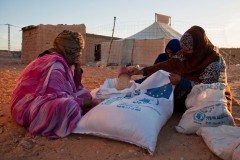 Chaque habitant des camps bénéficie de 17 kg de nourriture par mois. Les bailleurs de fonds fournissent des quantités suffisantes pour 125 000 personnes. Or, 173 600 réfugiés vivent ici. Le Croissant rouge fait confiance à l’esprit communautaire des Sahraouis pour qu’ils partagent eux-mêmes la nourriture, en évaluant les besoins de chacun.